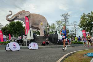 BIB: 
                            <button type="button" onclick="openModal(26528755)" class="btn btn-primary btn-sm float-right btn-popup" data-toggle="modal" data-target=".modal-high-quality">
                        <i class="fas fa-shopping-cart"></i> Add to Cart
                    </button>
                                            <button type="button" onclick="isThisMe(26528755, true)" class="btn btn-success btn-sm float-right btn-popup btn-isme hidden" data-toggle="tooltip" data-placement="bottom" title="นี่คือรูปของคุณใช่ไหม คลิกที่นี่เพื่อเอาเข้าอัลบั้ม">
                        <i class="fas fa-plus"></i> Add to album
                    </button>
                    <button type="button" onclick="isThisMe(26528755, false)" class="btn btn-warning btn-sm float-right btn-popup btn-isnotme hidden">
                        <i class="fas fa-ban"></i> Remove from album
                    </button>